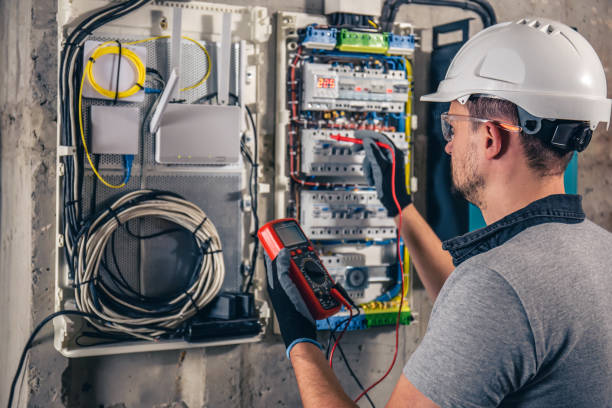 Best Electric Panel Repair  in Wlowbrook, IL