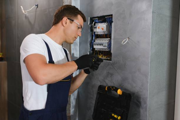 Best Electric Panel Repair  in Wlowbrook, IL