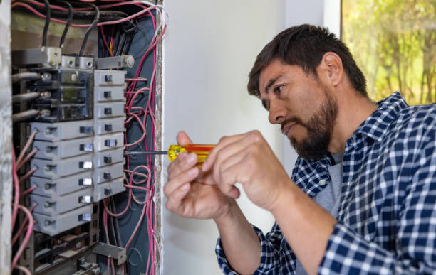 Best Industrial Electrical Services  in Wlowbrook, IL